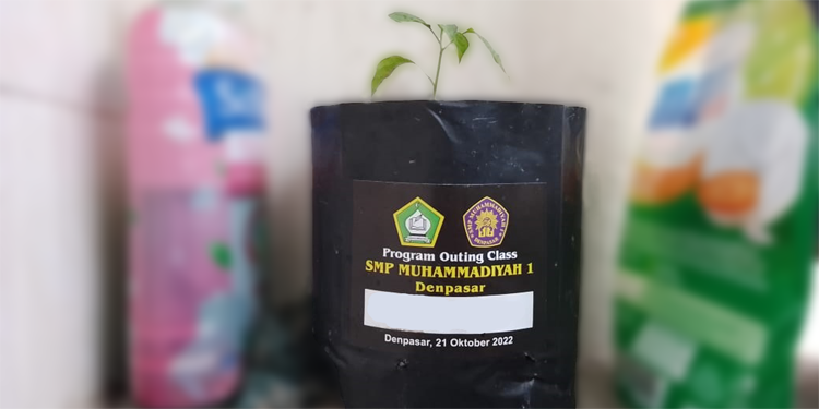 Cultivation organics plant on polybag & creating eco enzim fertilizer by MUHAMMADIYAH 1 JUNIOR HIGH-SCHOOL DENPASAR